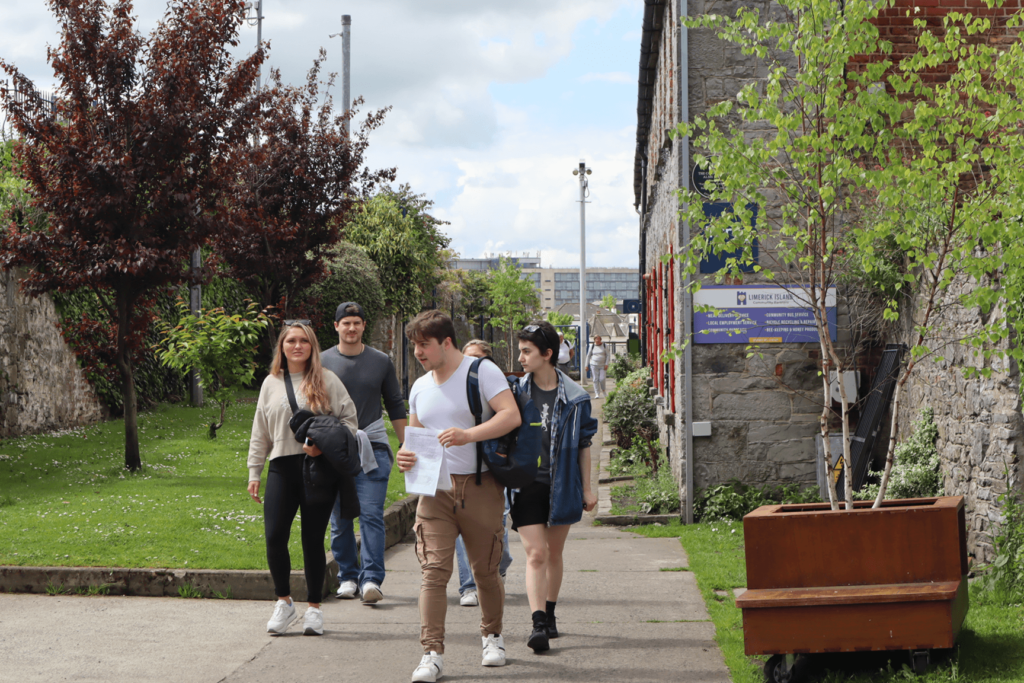 Historic Walking Tour Limerick